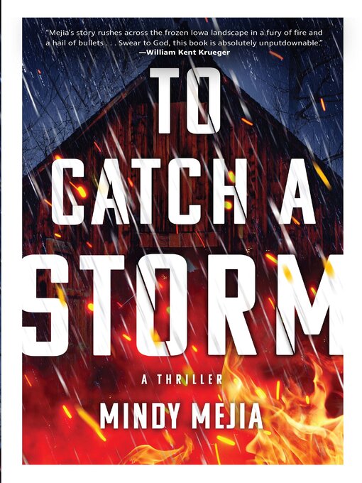 Title details for To Catch a Storm by Mindy Mejia - Available